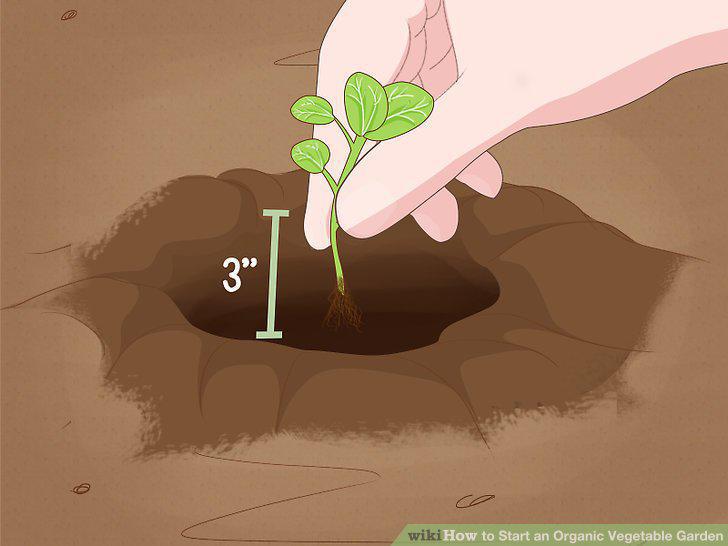 Step 10