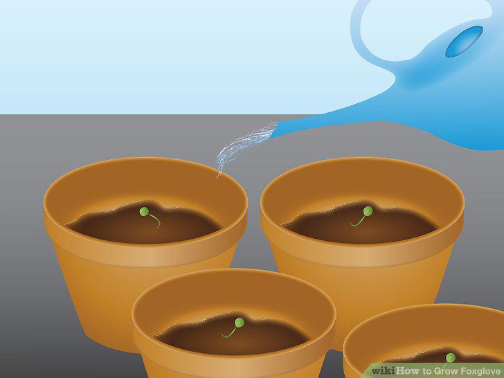 Step 2