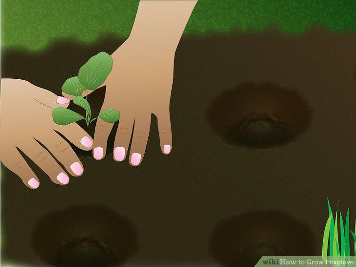 Step 7