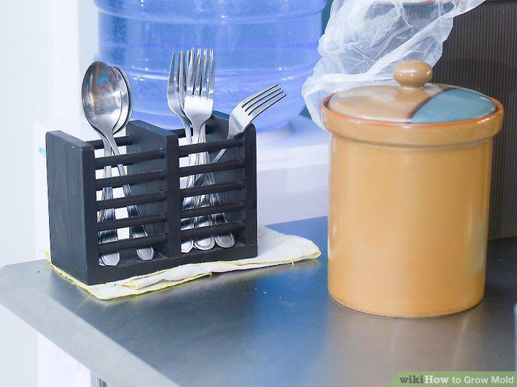 Step 6