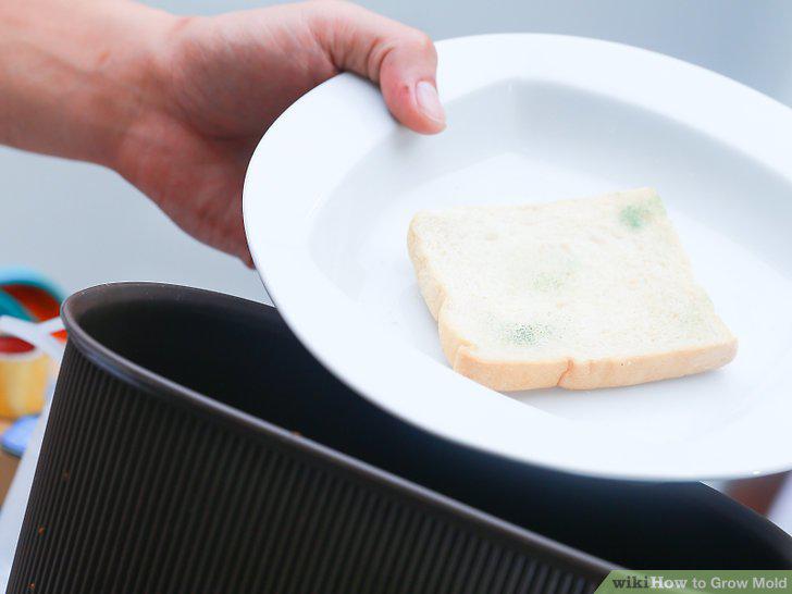 Step 10