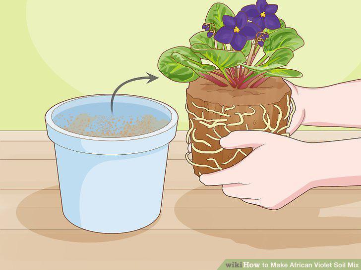 Step 11