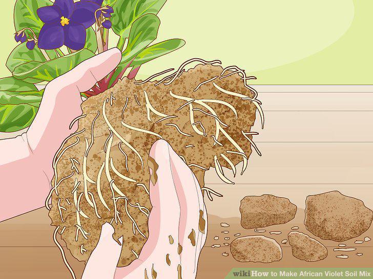 Step 12