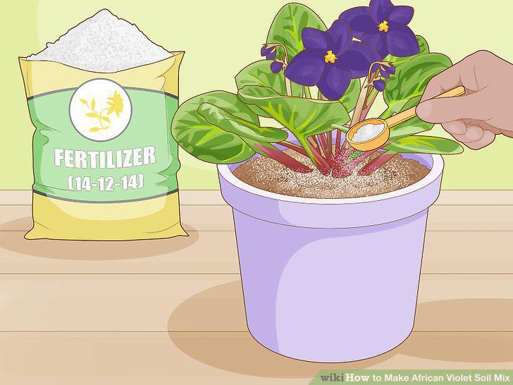 Step 10