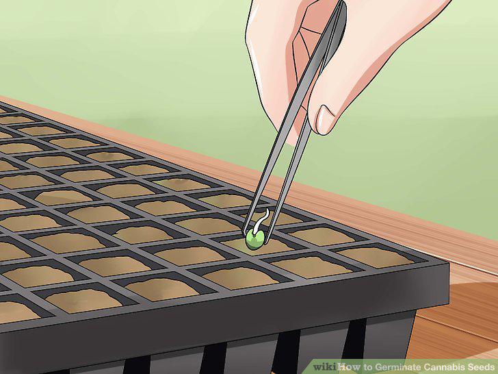 Step 11