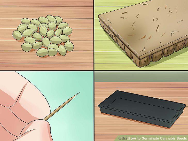 Step 12