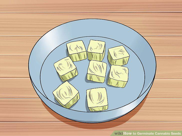 Step 13