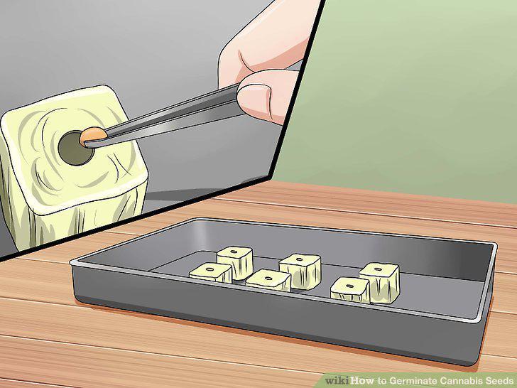 Step 14