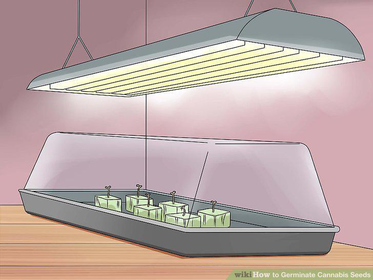 Step 15