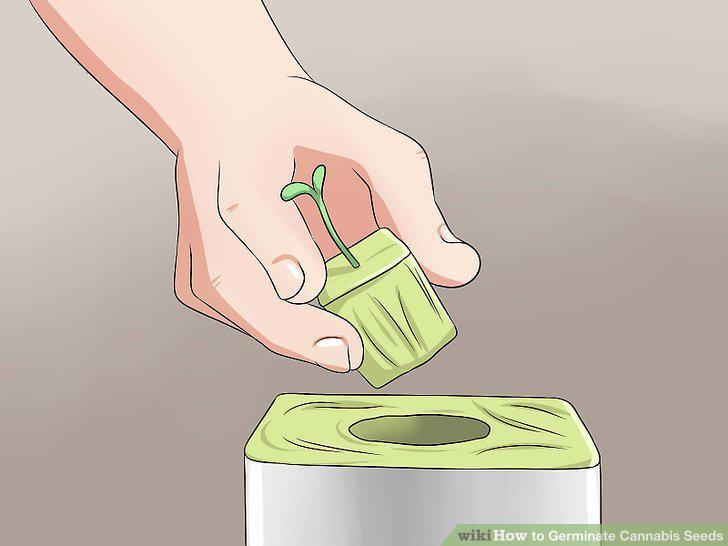Step 16