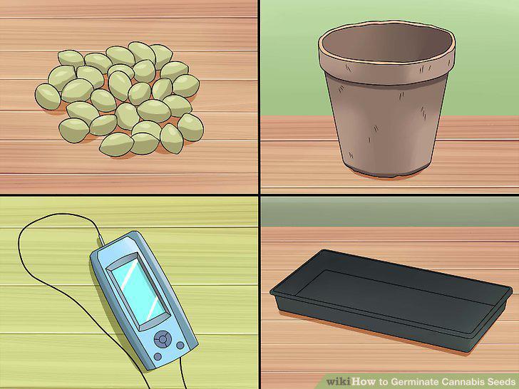 Step 17
