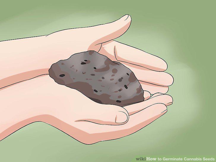 Step 18
