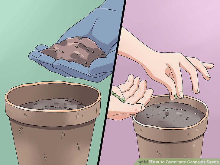 Step 19