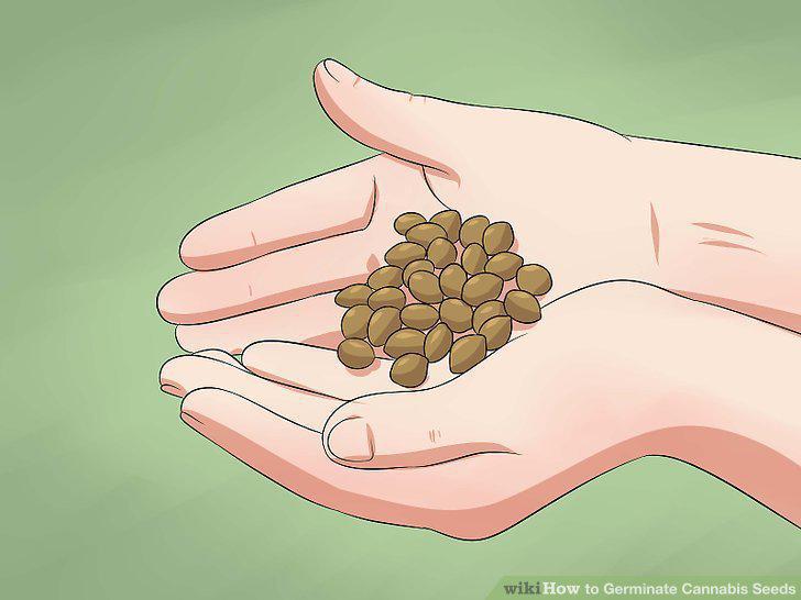 Step 5