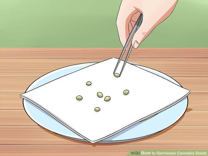 Step 10