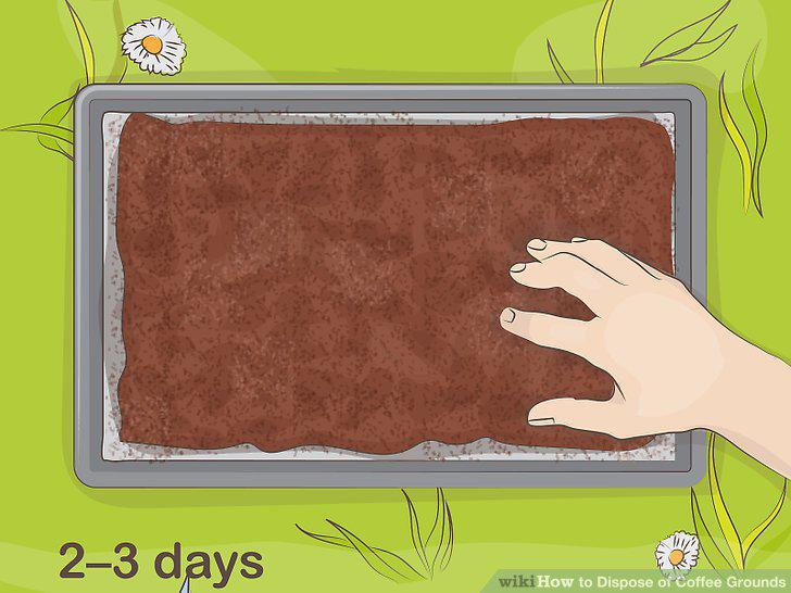 Step 4