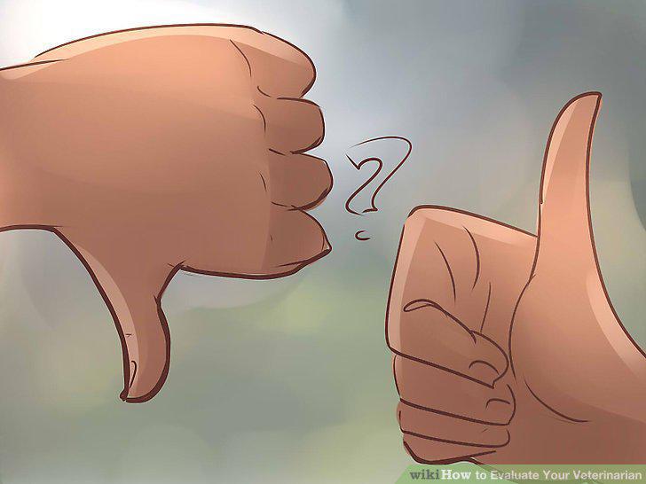 Step 10