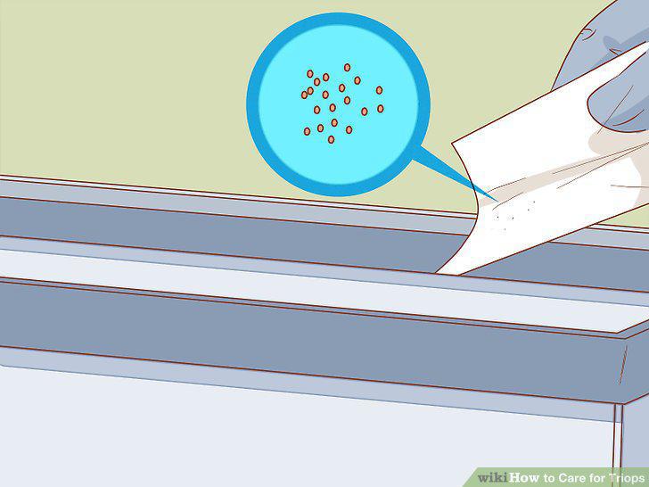 Step 7