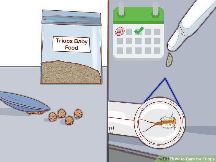 Step 9