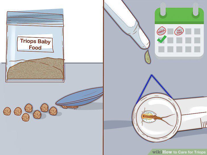 Step 10