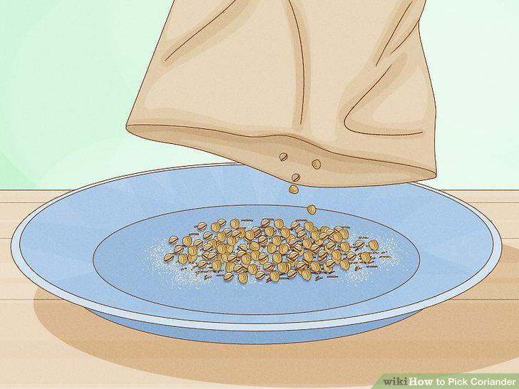 Step 11