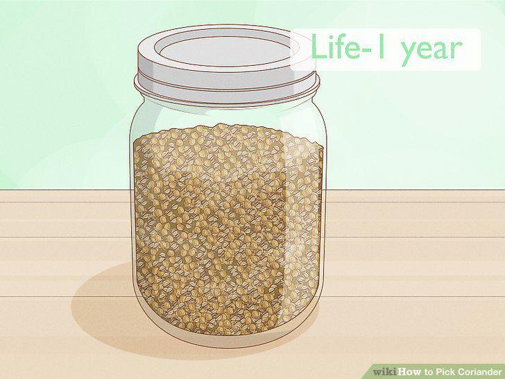 Step 12