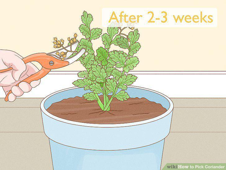 Step 9