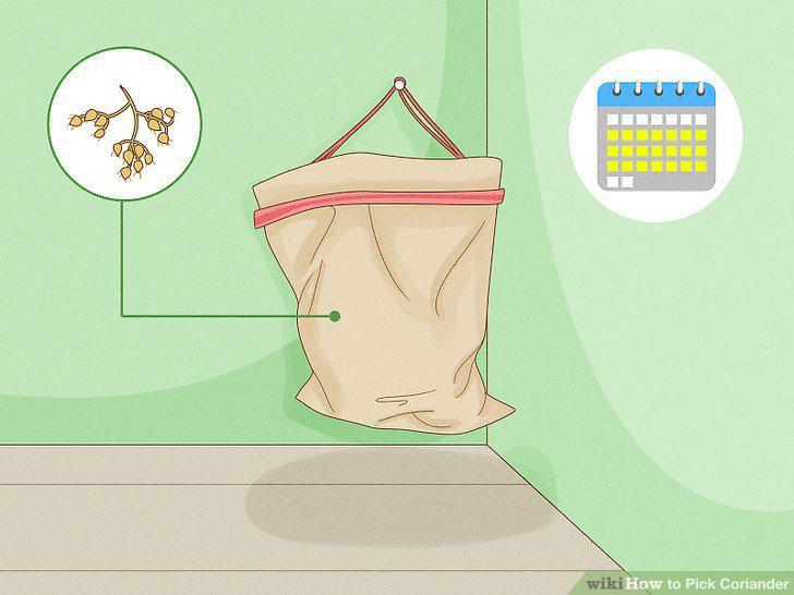 Step 10