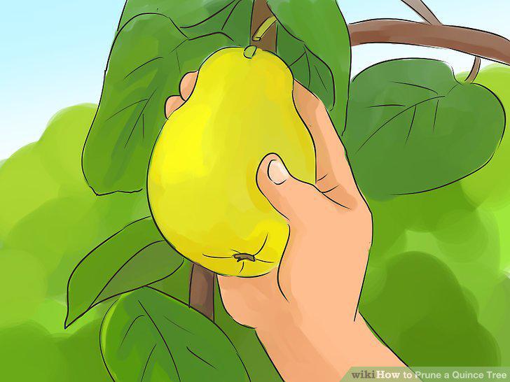 Step 2