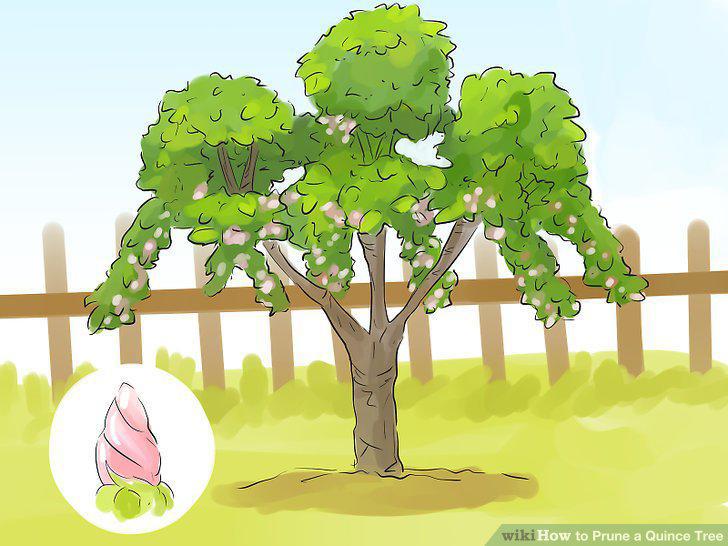 Step 6
