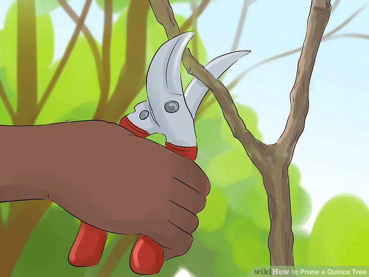 Step 8