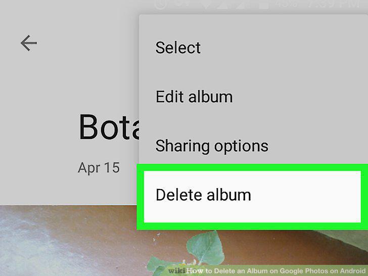 Step 5