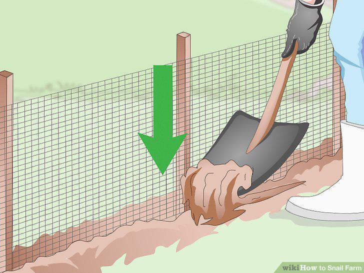 Step 11