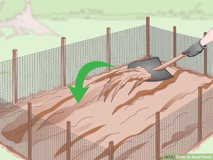 Step 12