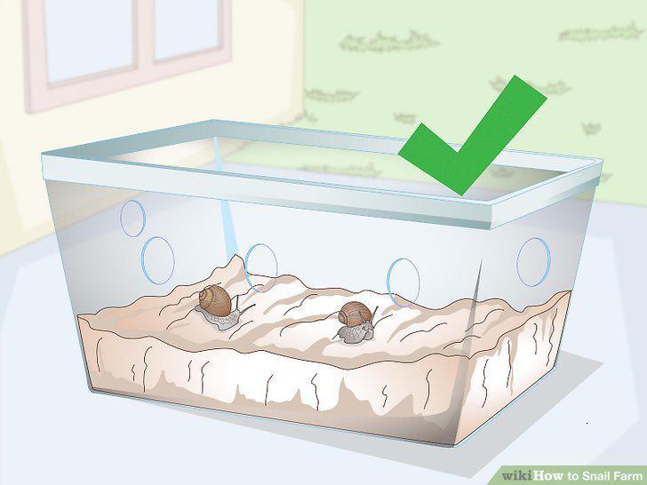 Step 13