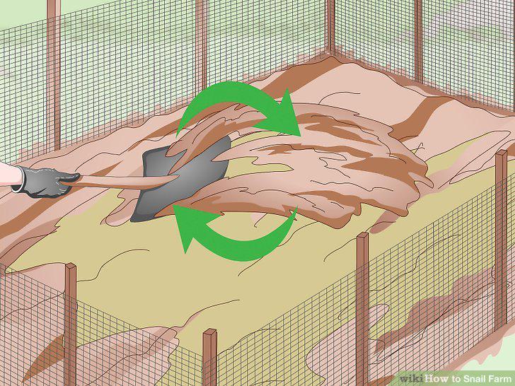 Step 15