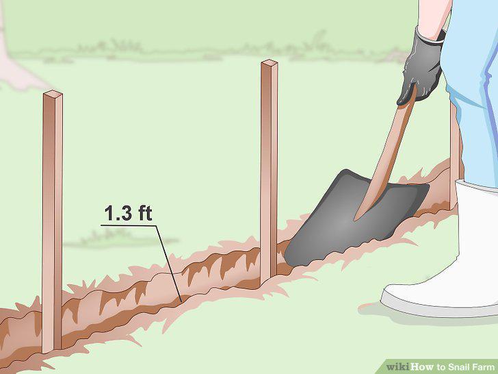 Step 9
