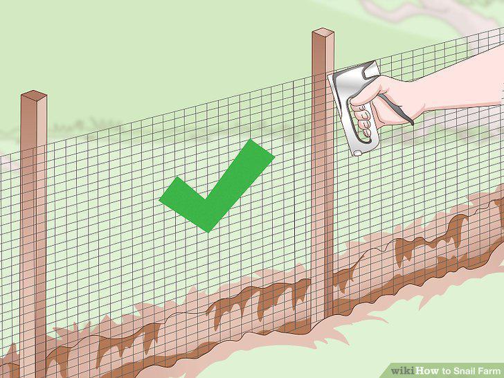 Step 10