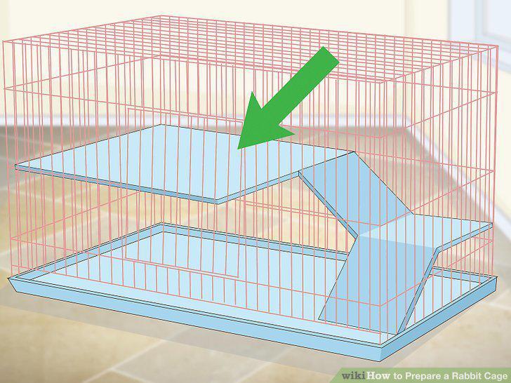 Step 2