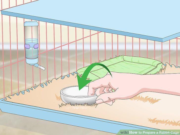 Step 11