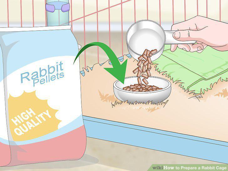 Step 12
