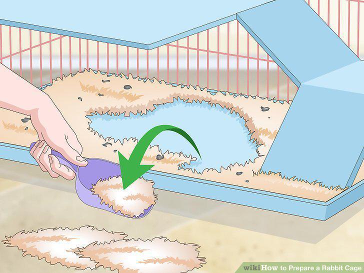 Step 14