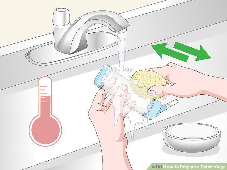 Step 15