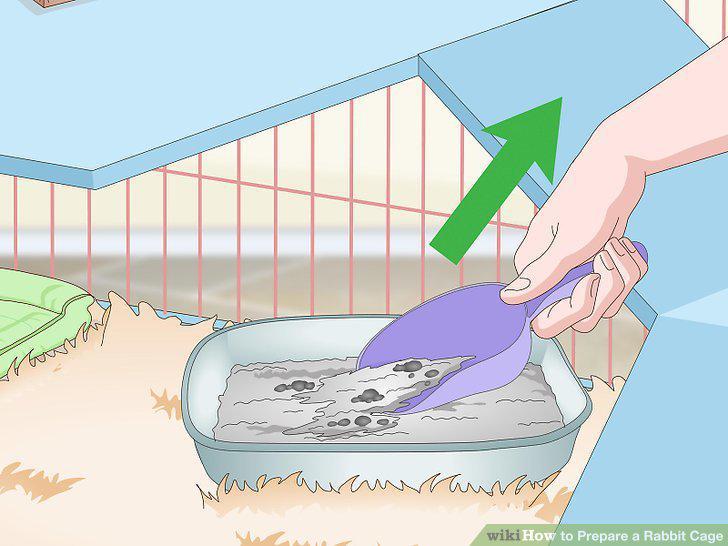 Step 16
