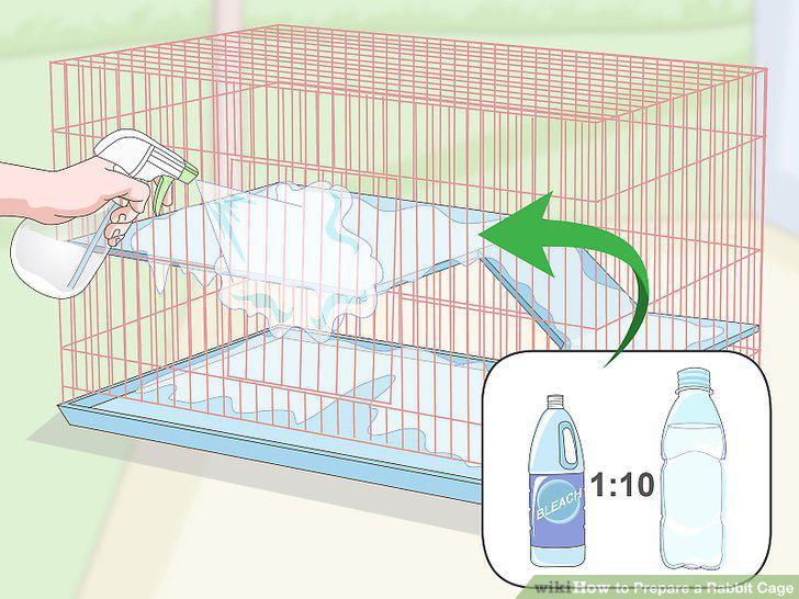 Step 17