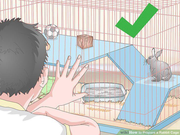 Step 18