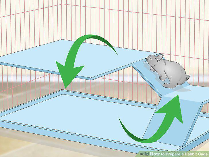 Step 5