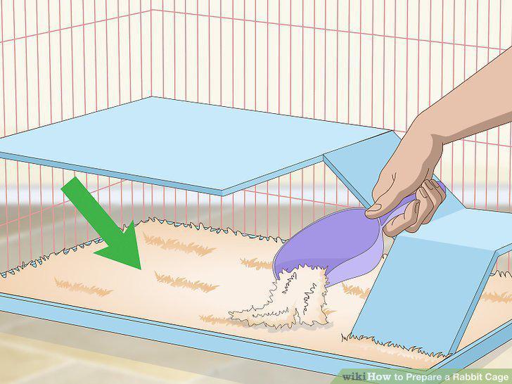 Step 7