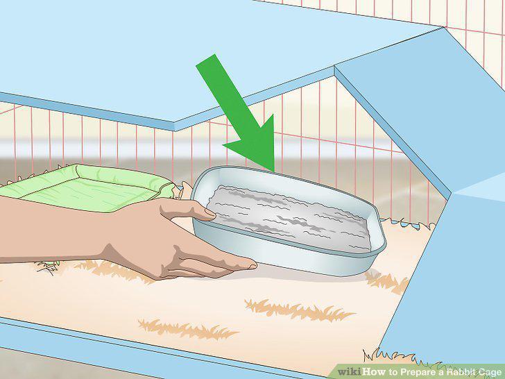 Step 9