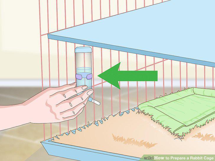 Step 10